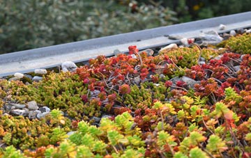 the cost of Blindley Heath green roof installation