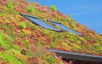 Blindley Heath living roof systems